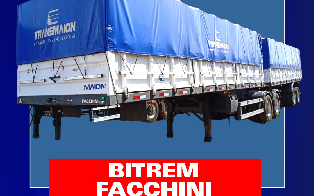 BITREM  FACCHINI – 2018